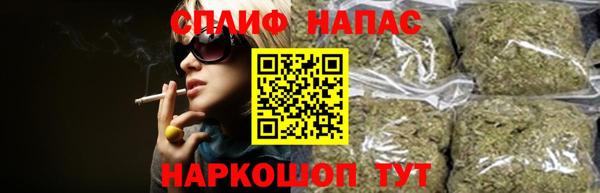 Канабис сатива Саяногорск